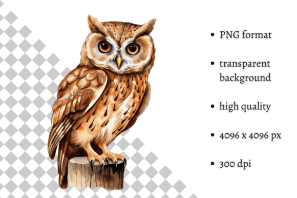 Download Watercolor Owl Illustration - Premium Bundle