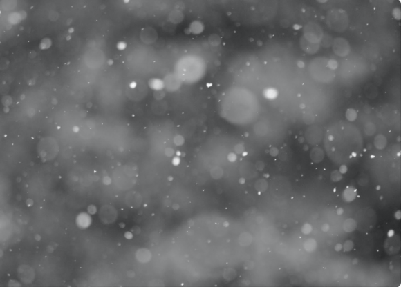 Download Snowflakes Overlay Real Snow Texture - Texture Collection