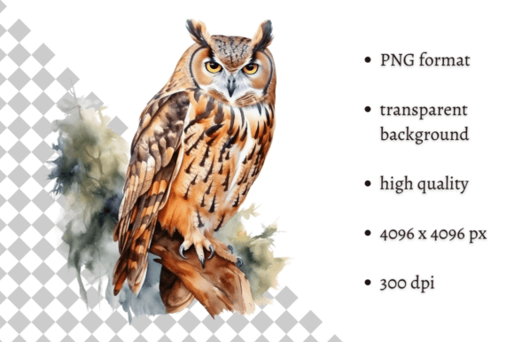 Download Watercolor Owl Illustration - Premium Bundle